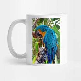 Macaw Parrot Yellow And Blue Bird Mug